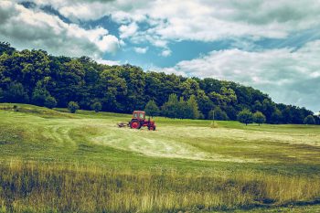 Photo by Emiel Molenaar on Unsplash