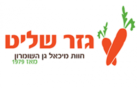 מגזרים – גזר שליט – תעשיה ולוגיסטיקה