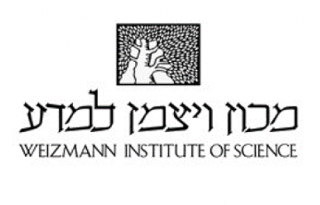מגזרים אנגלית – מכון ויצמן למדע – Academy
