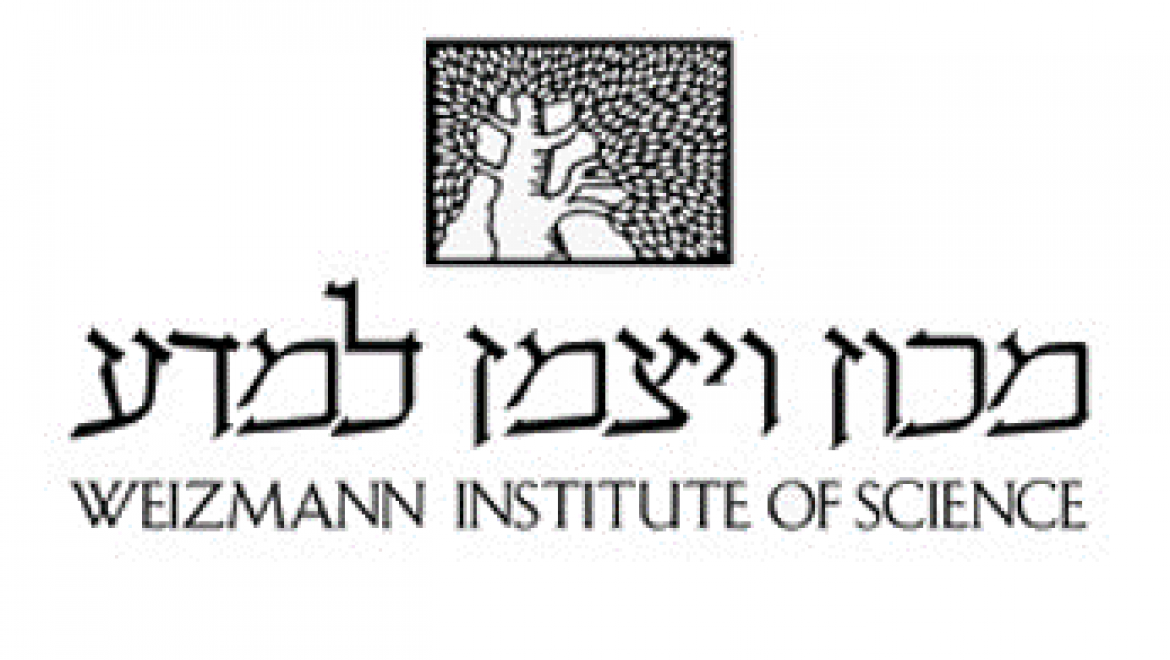 מגזרים אנגלית – מכון ויצמן למדע – Academy