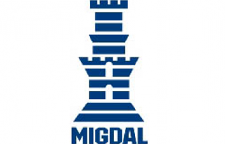 מגזרים אנגלית – מגדל – ביטוח