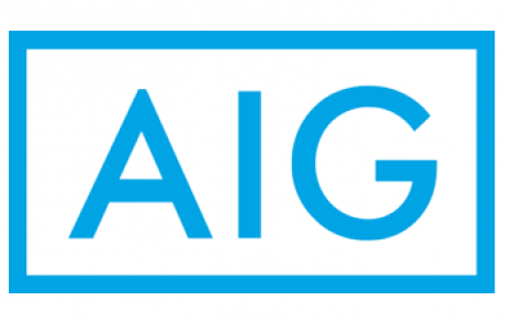 מגזרים- AIG