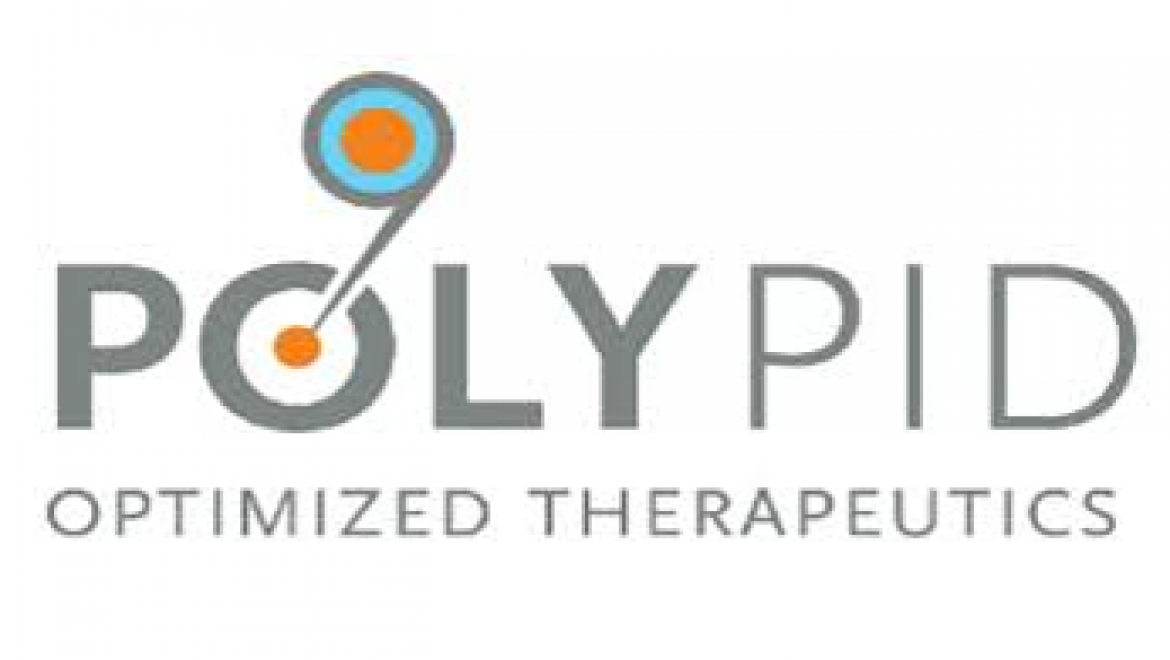 מגזרים – Polypid – הייטק