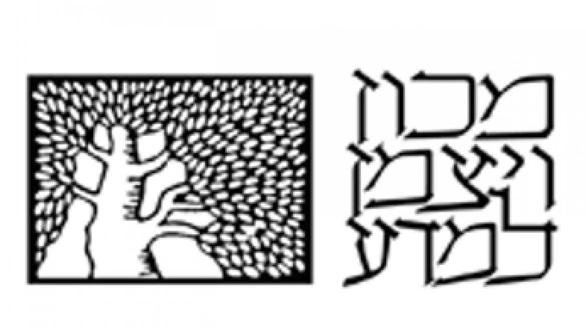 מגזרים – מכון ויצמן למדע – אקדמיה