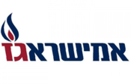 ניטול ידני